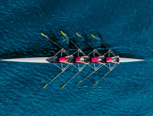crop 800x500 sport rowing smaller